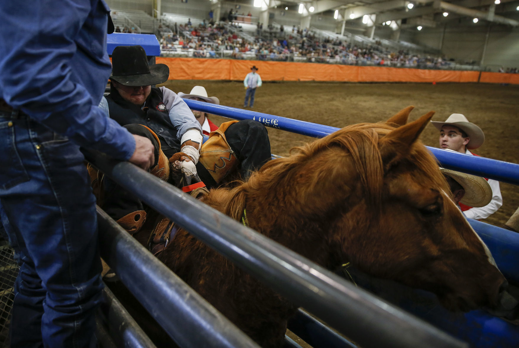 Ropin' and Riggin' Days